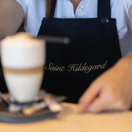 ホテル Saint Hildegard オミシュ